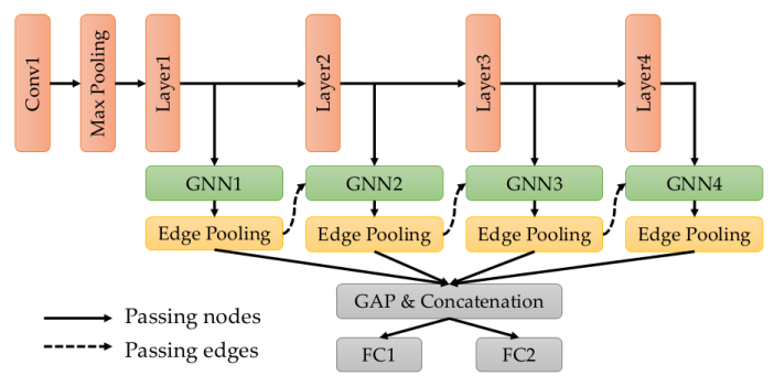 Overall network architecture